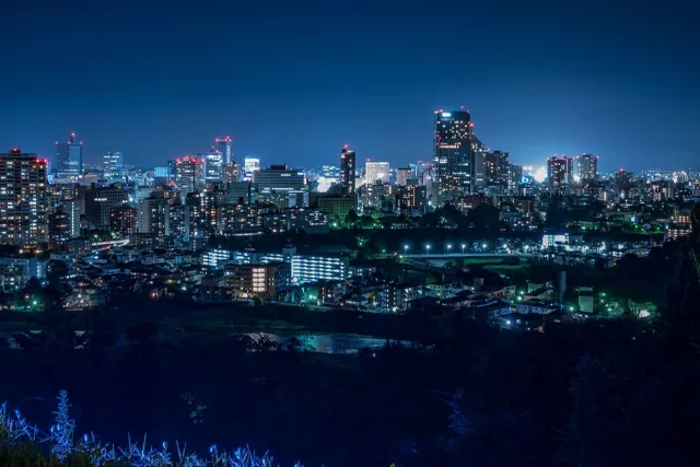 夜の仙台城跡
