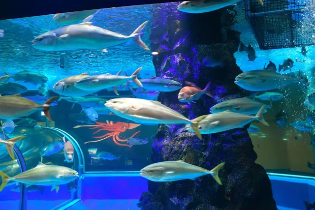 魚津水族館